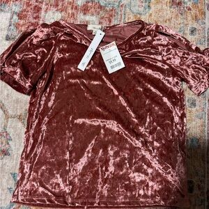 Chic Blush Velvet Blouse